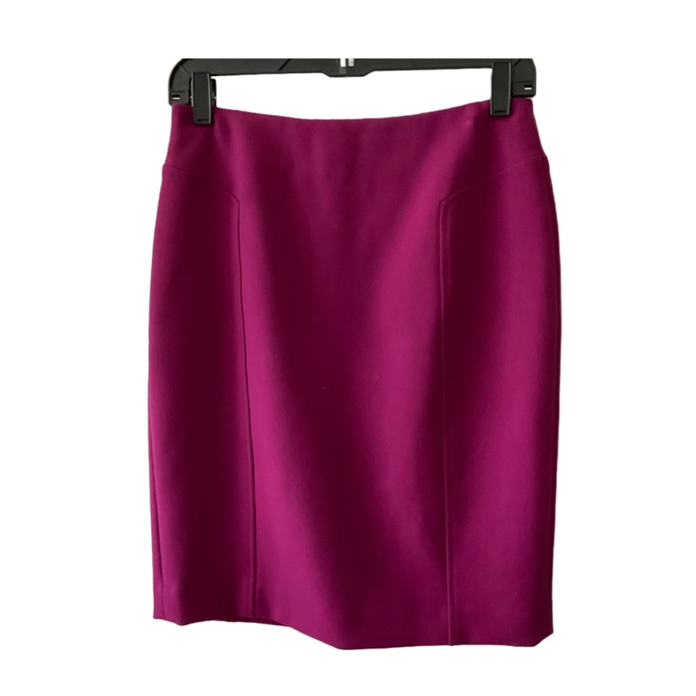 Beautiful Fuchsia Dark Pink Skirt 4P NWOT
